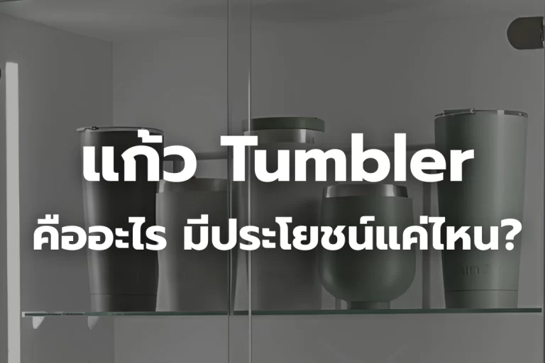 แก้ว Tumbler คืออะไร มีประโยชน์แค่ไหน?