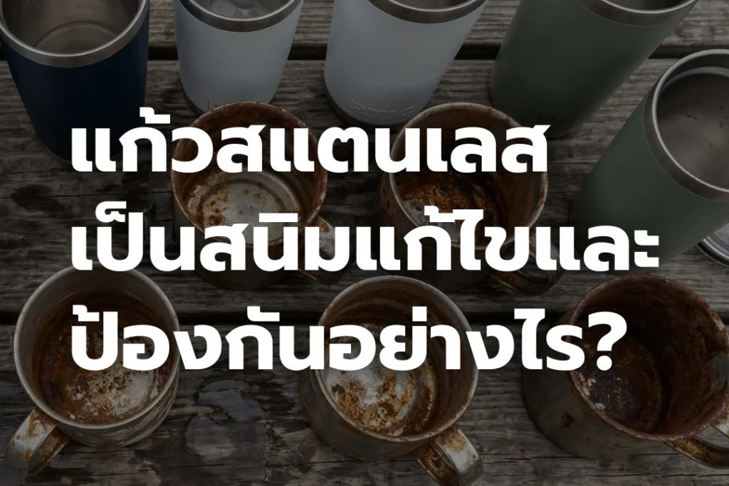 แก้วสแตนเลส เป็นสนิม แก้ไขและป้องกันอย่างไร?